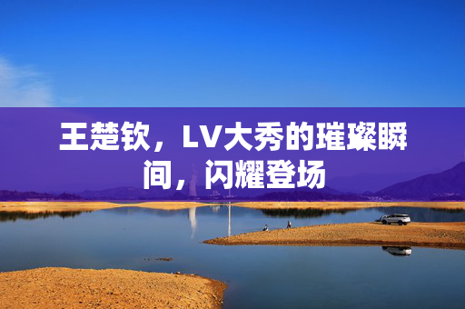 王楚钦，LV大秀的璀璨瞬间，闪耀登场