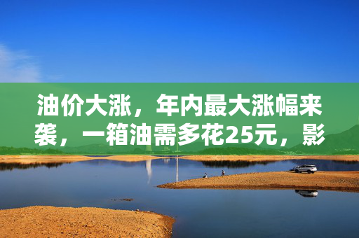 油价大涨，年内最大涨幅来袭，一箱油需多花25元，影响与应对策略