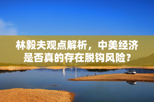 林毅夫观点解析，中美经济是否真的存在脱钩风险？