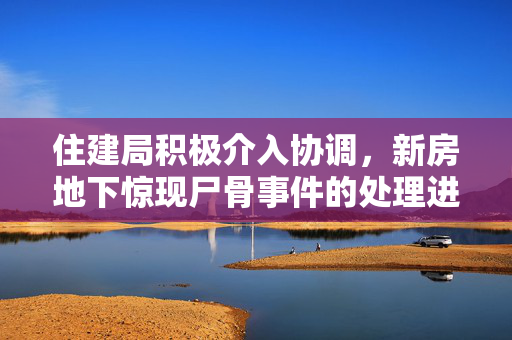 住建局积极介入协调，新房地下惊现尸骨事件的处理进展