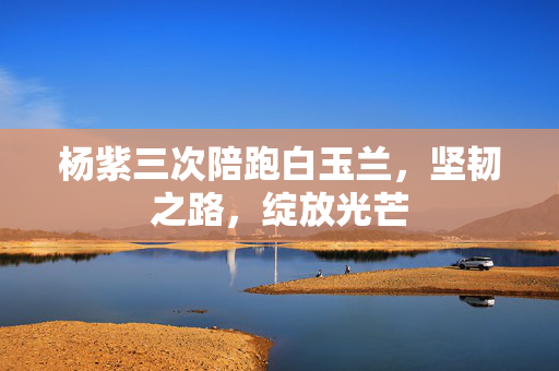 杨紫三次陪跑白玉兰，坚韧之路，绽放光芒