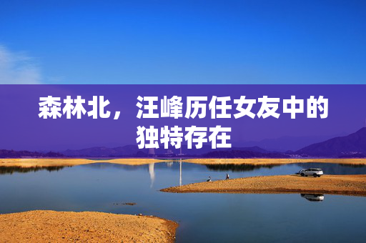 森林北，汪峰历任女友中的独特存在