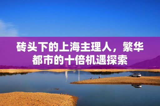 砖头下的上海主理人，繁华都市的十倍机遇探索