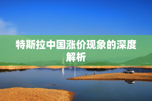 特斯拉中国涨价现象的深度解析