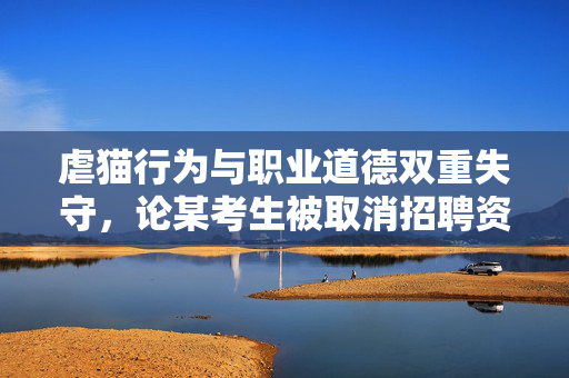 虐猫行为与职业道德双重失守，论某考生被取消招聘资格事件