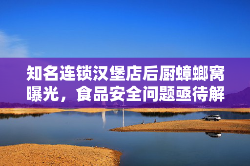 知名连锁汉堡店后厨蟑螂窝曝光，食品安全问题亟待解决