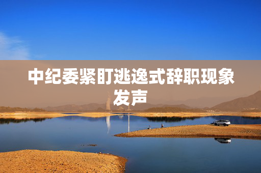 中纪委紧盯逃逸式辞职现象发声