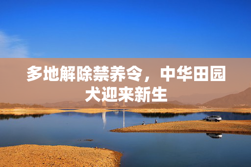 多地解除禁养令，中华田园犬迎来新生