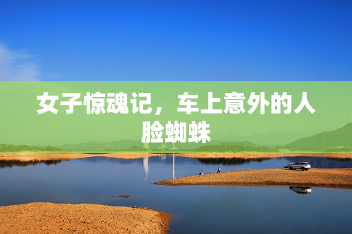 女子惊魂记，车上意外的人脸蜘蛛