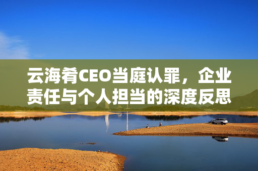 云海肴CEO当庭认罪，企业责任与个人担当的深度反思