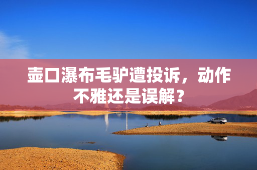 壶口瀑布毛驴遭投诉，动作不雅还是误解？