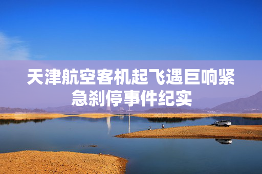 天津航空客机起飞遇巨响紧急刹停事件纪实