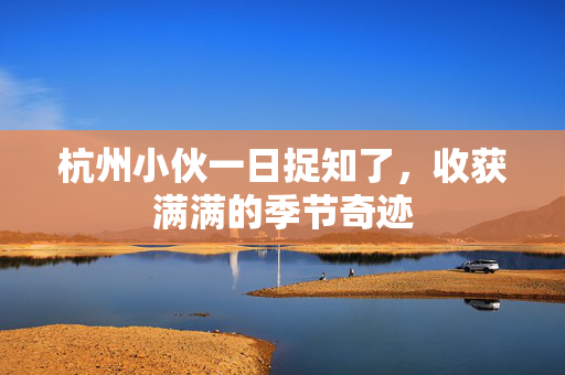 杭州小伙一日捉知了，收获满满的季节奇迹