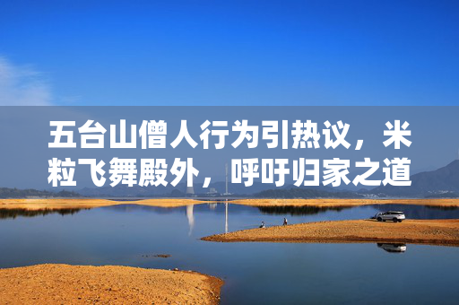 五台山僧人行为引热议，米粒飞舞殿外，呼吁归家之道