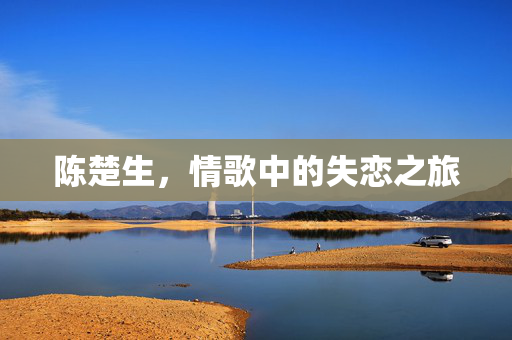 陈楚生，情歌中的失恋之旅