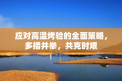 应对高温烤验的全面策略，多措并举，共克时艰