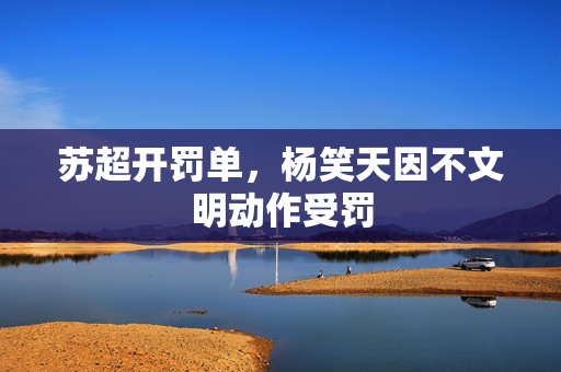 苏超开罚单，杨笑天因不文明动作受罚