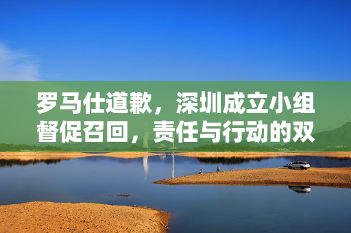 罗马仕道歉，深圳成立小组督促召回，责任与行动的双重考量
