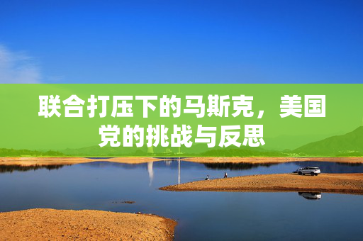 联合打压下的马斯克，美国党的挑战与反思