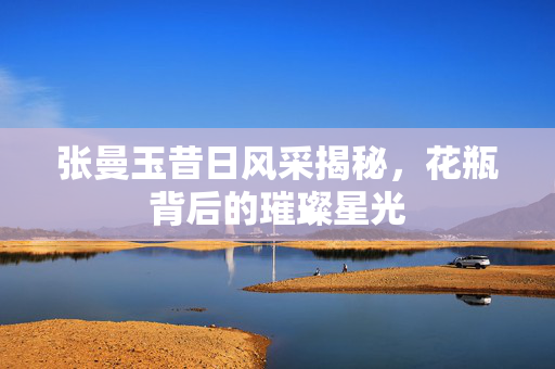 张曼玉昔日风采揭秘，花瓶背后的璀璨星光