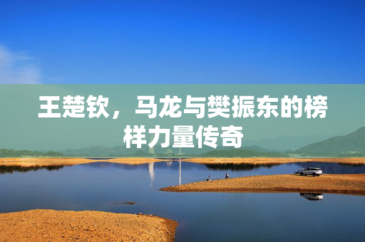王楚钦，马龙与樊振东的榜样力量传奇
