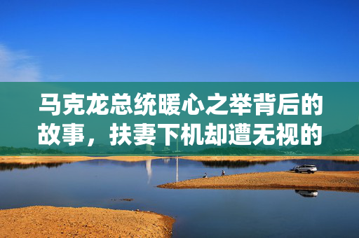 马克龙总统暖心之举背后的故事，扶妻下机却遭无视的瞬间