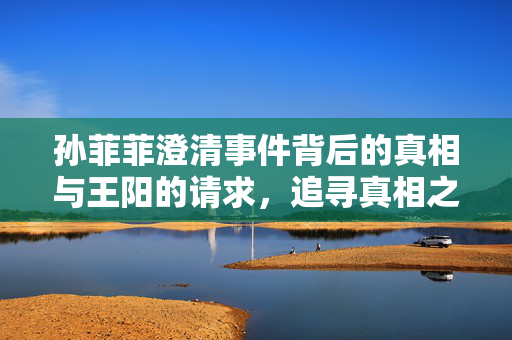 孙菲菲澄清事件背后的真相与王阳的请求，追寻真相之路