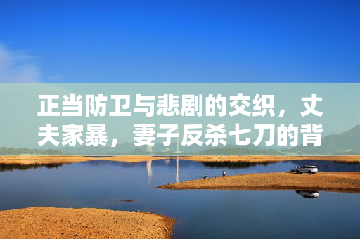 正当防卫与悲剧的交织，丈夫家暴，妻子反杀七刀的背后