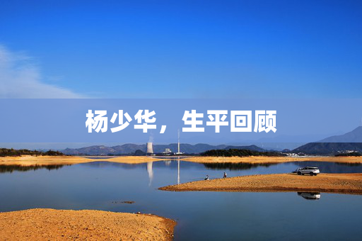 杨少华，生平回顾