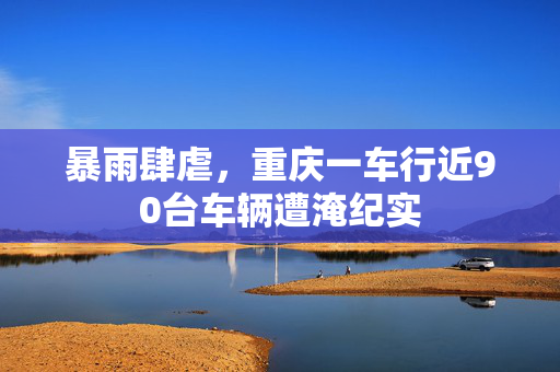 暴雨肆虐，重庆一车行近90台车辆遭淹纪实