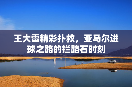 王大雷精彩扑救，亚马尔进球之路的拦路石时刻