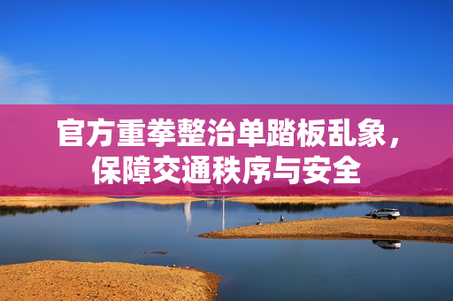 官方重拳整治单踏板乱象，保障交通秩序与安全