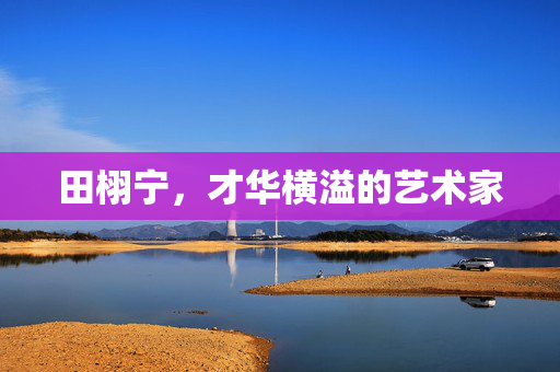田栩宁，才华横溢的艺术家