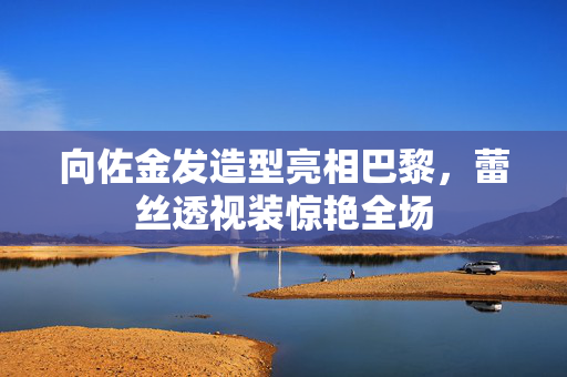 向佐金发造型亮相巴黎，蕾丝透视装惊艳全场