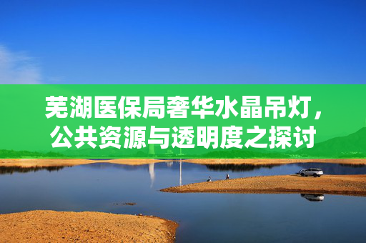 芜湖医保局奢华水晶吊灯，公共资源与透明度之探讨