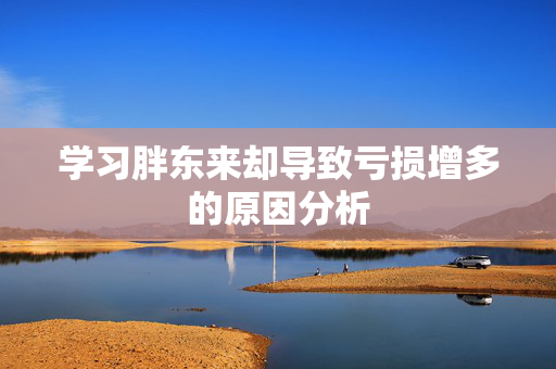 学习胖东来却导致亏损增多的原因分析