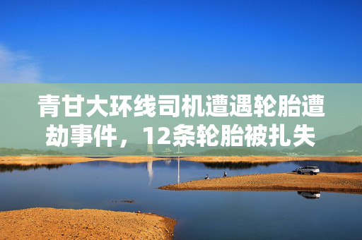 青甘大环线司机遭遇轮胎遭劫事件，12条轮胎被扎失窃