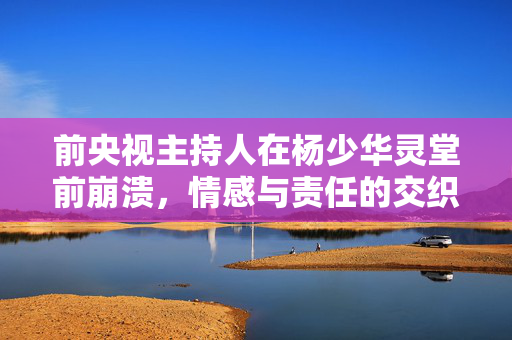 前央视主持人在杨少华灵堂前崩溃，情感与责任的交织
