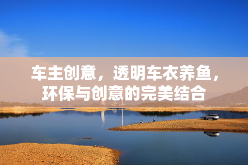 车主创意，透明车衣养鱼，环保与创意的完美结合