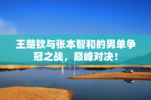 王楚钦与张本智和的男单争冠之战，巅峰对决！