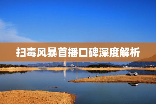 扫毒风暴首播口碑深度解析