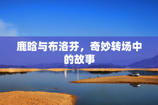 鹿晗与布洛芬，奇妙转场中的故事