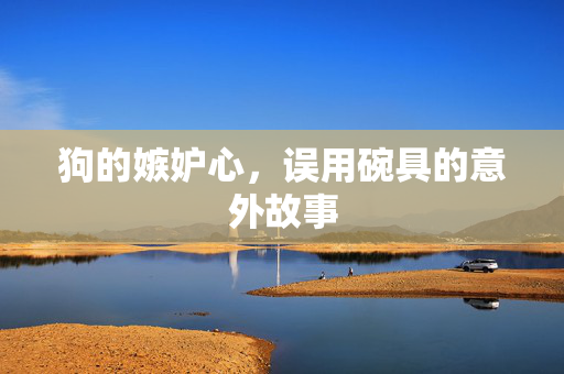 狗的嫉妒心，误用碗具的意外故事