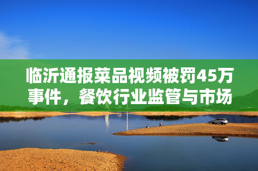 临沂通报菜品视频被罚45万事件，餐饮行业监管与市场教育的双重反思