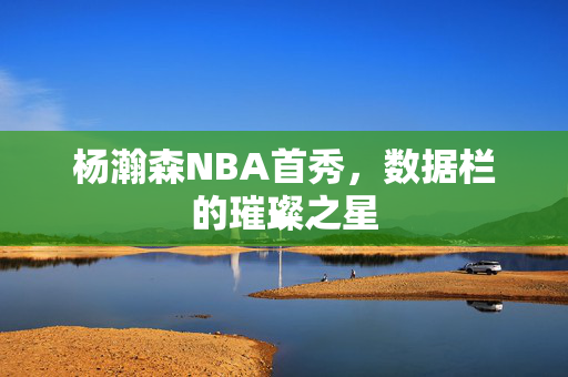 杨瀚森NBA首秀，数据栏的璀璨之星
