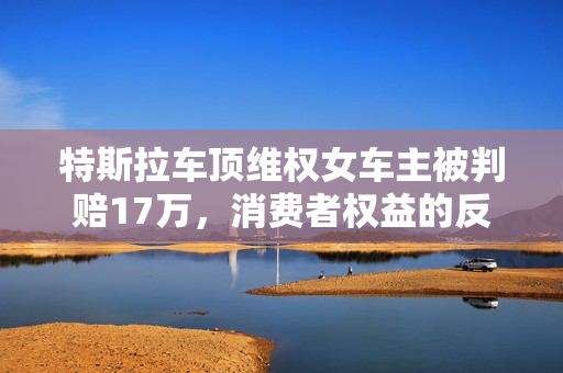 特斯拉车顶维权女车主被判赔17万，消费者权益的反思与展望