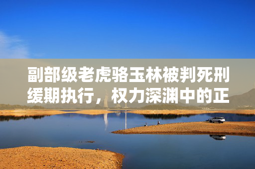 副部级老虎骆玉林被判死刑缓期执行，权力深渊中的正义胜利