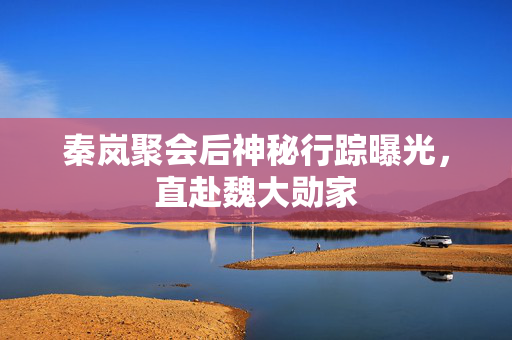 秦岚聚会后神秘行踪曝光，直赴魏大勋家