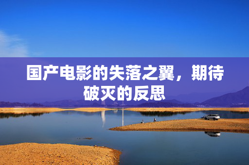 国产电影的失落之翼，期待破灭的反思