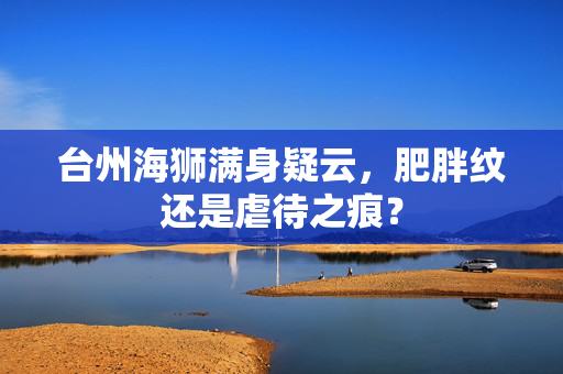台州海狮满身疑云，肥胖纹还是虐待之痕？